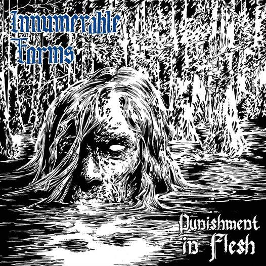 Buy – Innumerable Forms "Punishment in Flesh" 12" – Band & Music Merch – Cold Cuts Merch