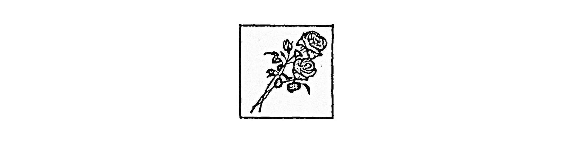 Shop – Anybody's Flowers – Band & Music Merch – Cold Cuts Merch