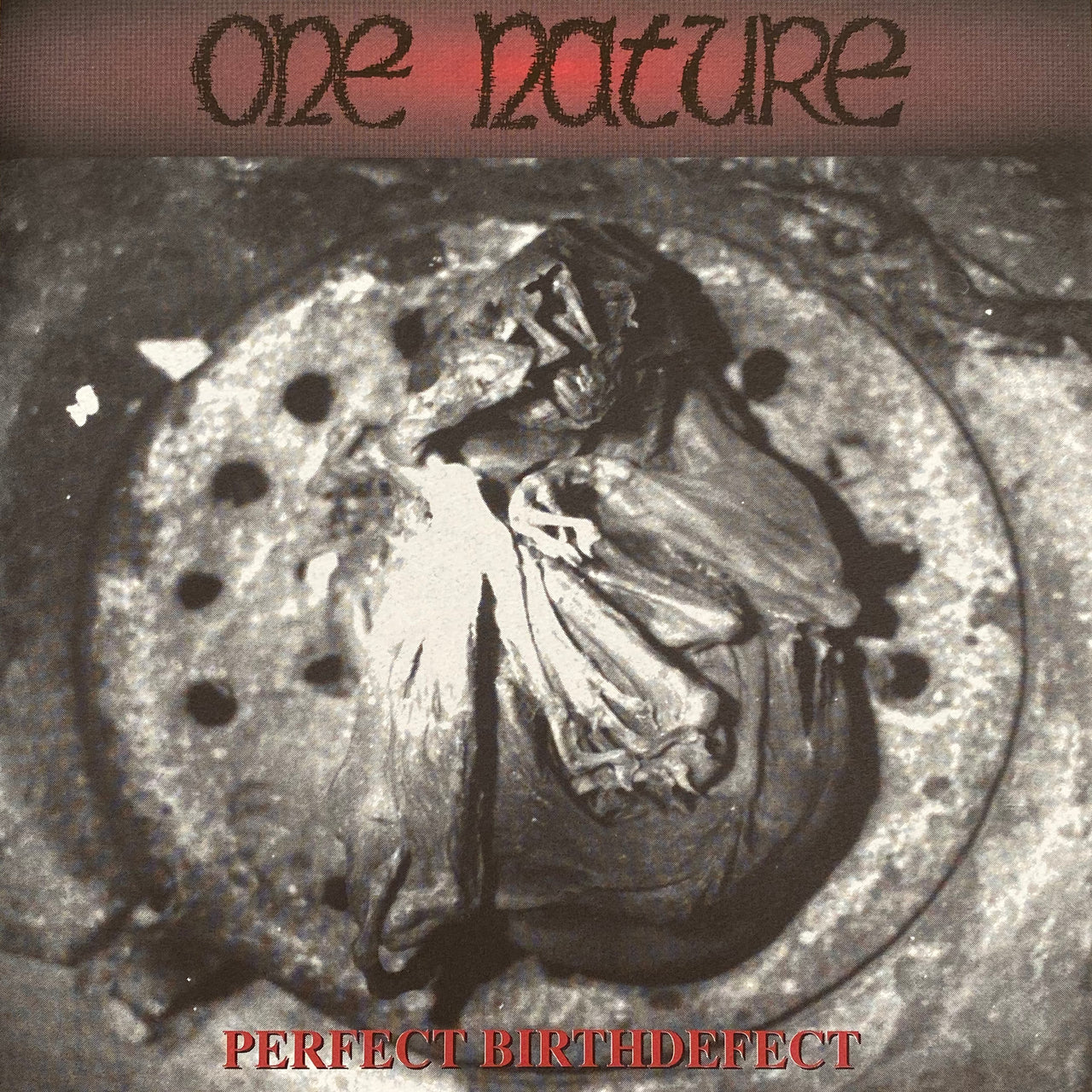 One Nature "Perfect Birthdefect" 7" Vinyl