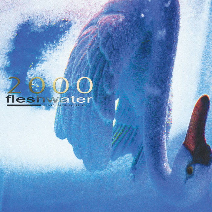 Fleshwater "2000: In Search Of The Endless Sky" 12" Vinyl