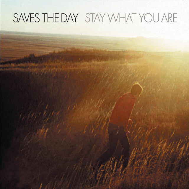 Saves the Day "Stay What You Are" 2x10" Vinyl