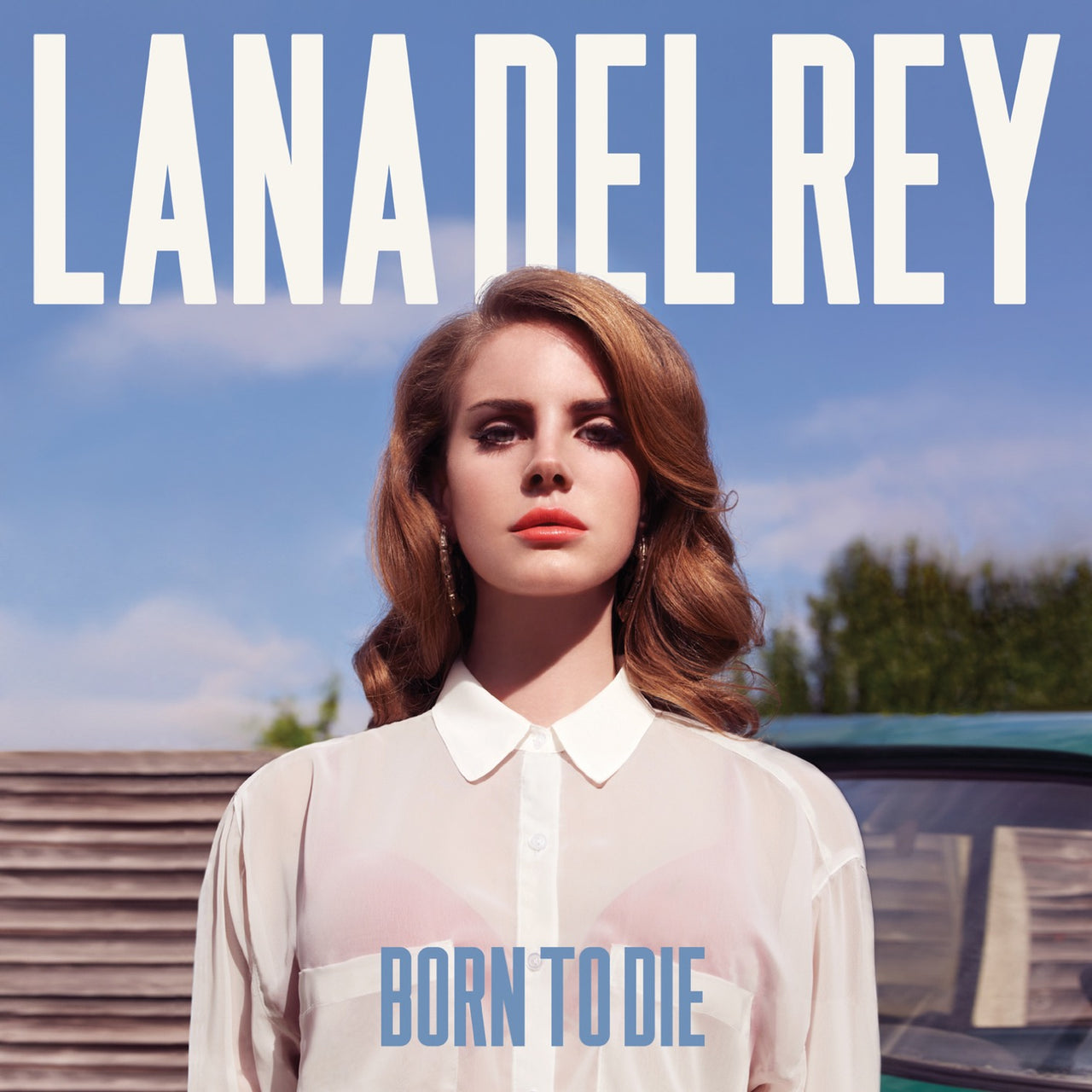 Lana Del Rey "Born to Die" 12" Vinyl