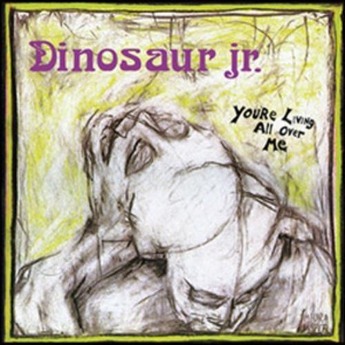 Buy – Dinosaur Jr "You're Living All Over Me" 12" – Band & Music Merch – Cold Cuts Merch