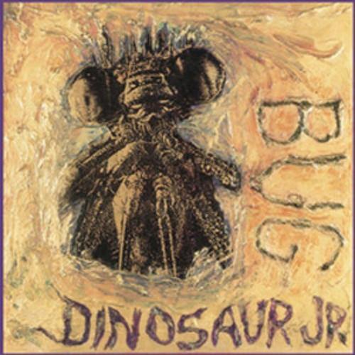 Buy – Dinosaur Jr "Bug" 12" – Band & Music Merch – Cold Cuts Merch