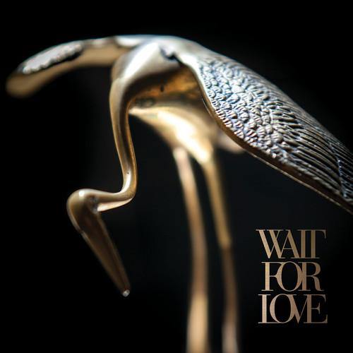 Buy – Pianos Become the Teeth "Wait For Love" 12" – Band & Music Merch – Cold Cuts Merch
