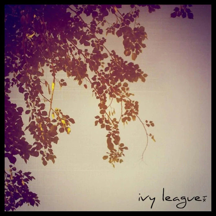 Ivy League TX "Summer Sessions" 7" Vinyl