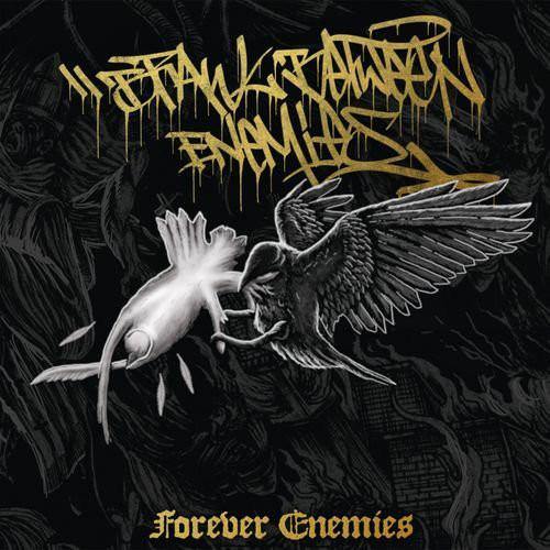 Buy – Brawl Between Enemies "Forever Enemies" CD – Band & Music Merch – Cold Cuts Merch