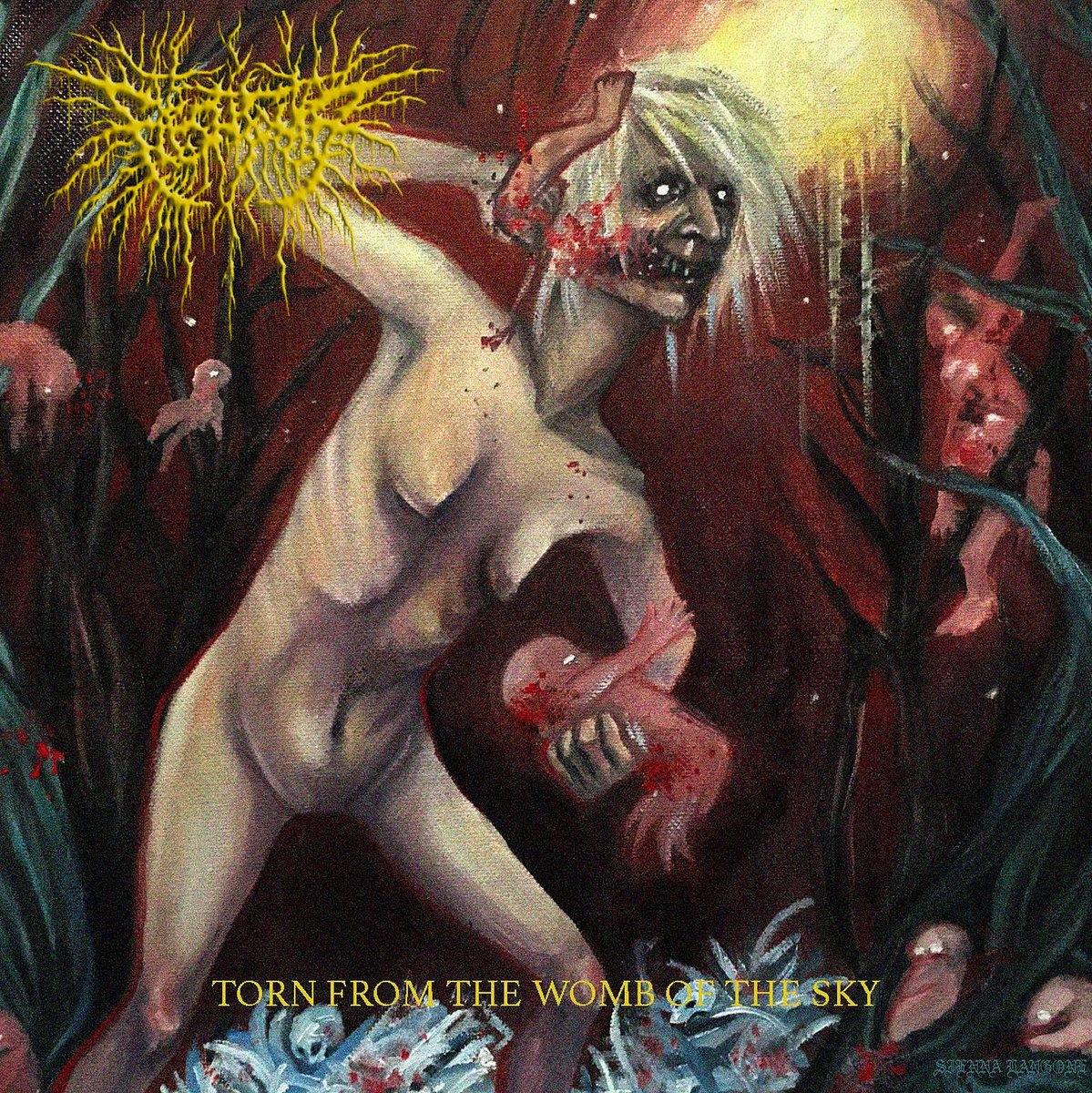 Buy – Flesh Tomb "Torn From The Womb Of The Sky" CD – Band & Music Merch – Cold Cuts Merch