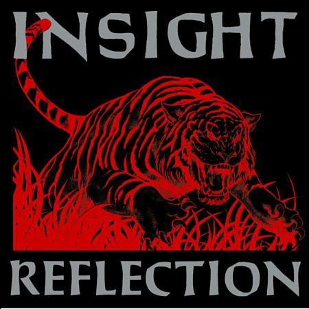 Buy – Insight "Reflection" 12" – Band & Music Merch – Cold Cuts Merch