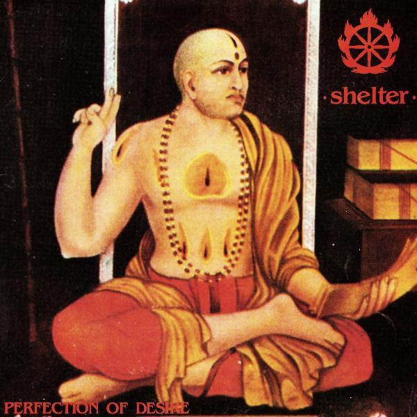 Buy – Shelter "Perfection Of Desire" 12" – Band & Music Merch – Cold Cuts Merch