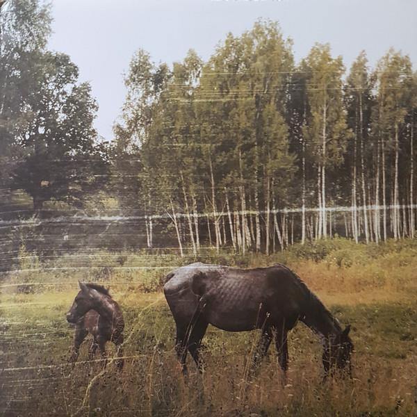Buy – Pianos Become The Teeth "Old Pride" 12" – Band & Music Merch – Cold Cuts Merch