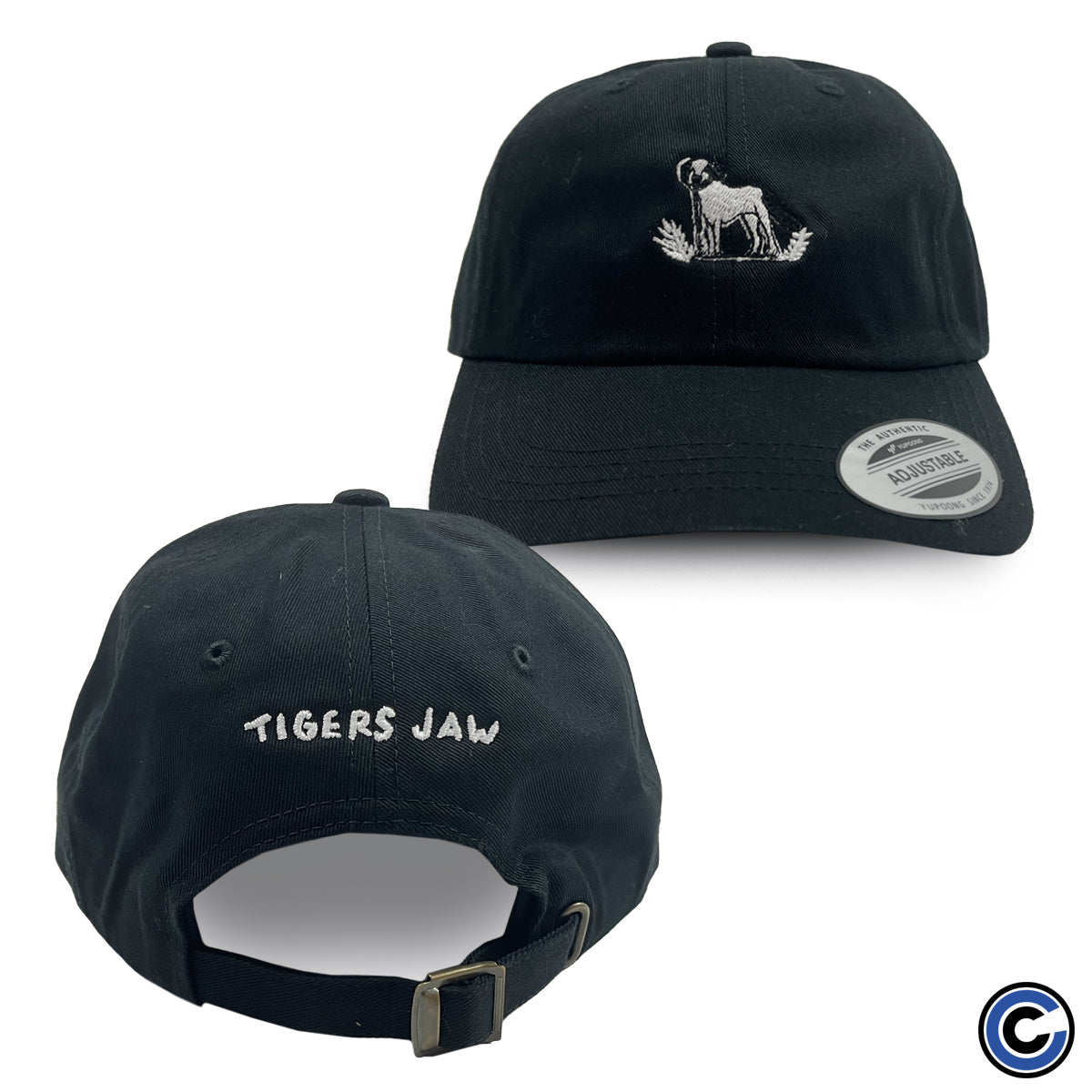 Tigers Jaw "Dog" Hat