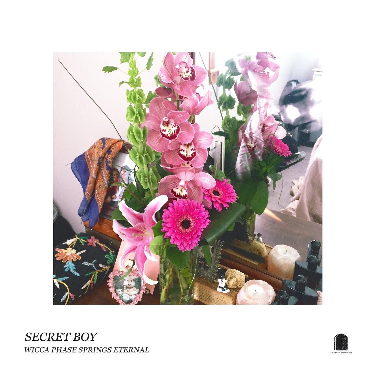 Buy – Wicca Phase Springs Eternal "Secret Boy" 12" – Band & Music Merch – Cold Cuts Merch