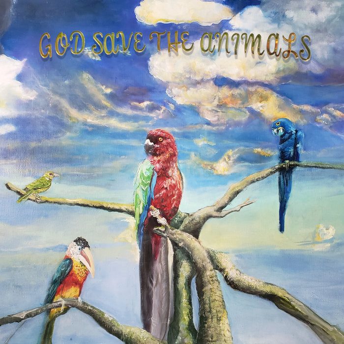 Alex G "God Save the Animals" 12" Vinyl