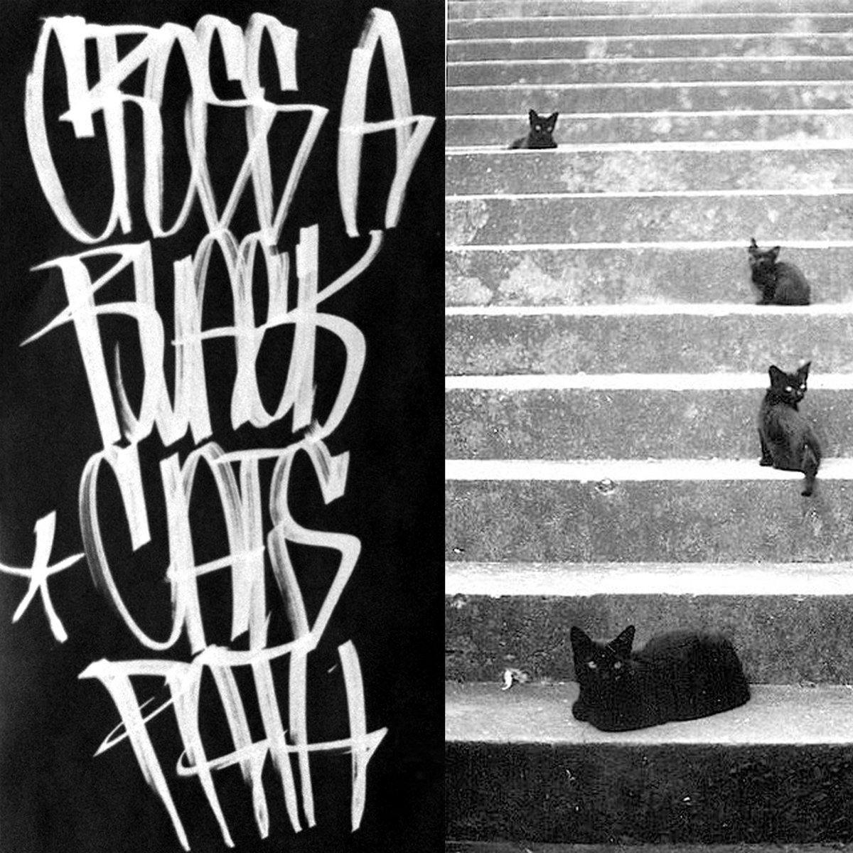 Buy – Wrong Answer "Cross A Black Cat's Path" 7" – Band & Music Merch – Cold Cuts Merch