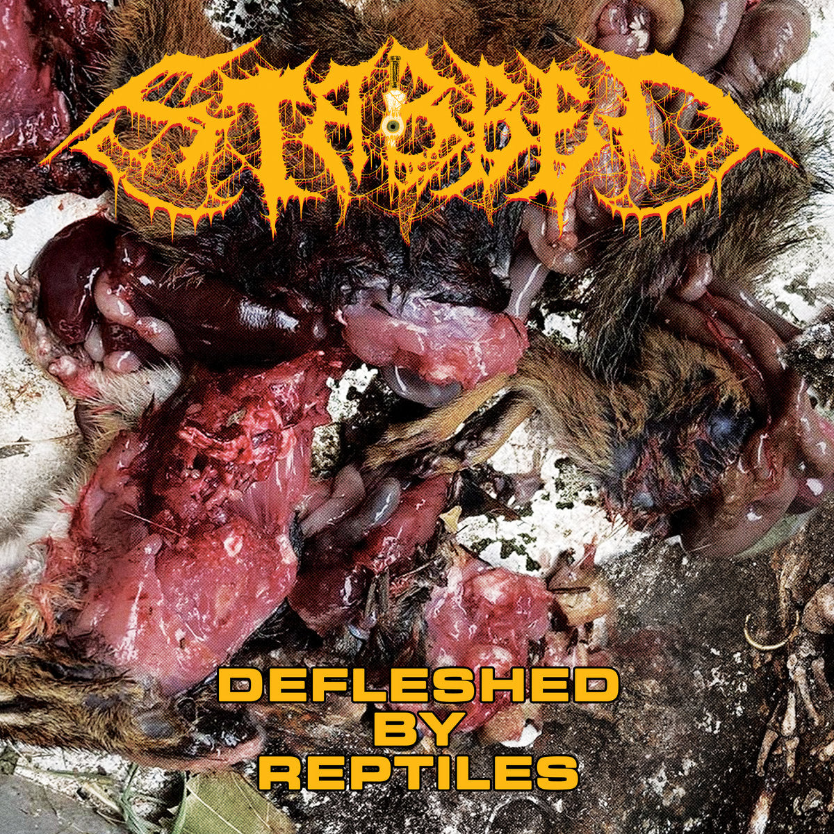 Stabbed "Defleshed by Reptiles" 7" Vinyl