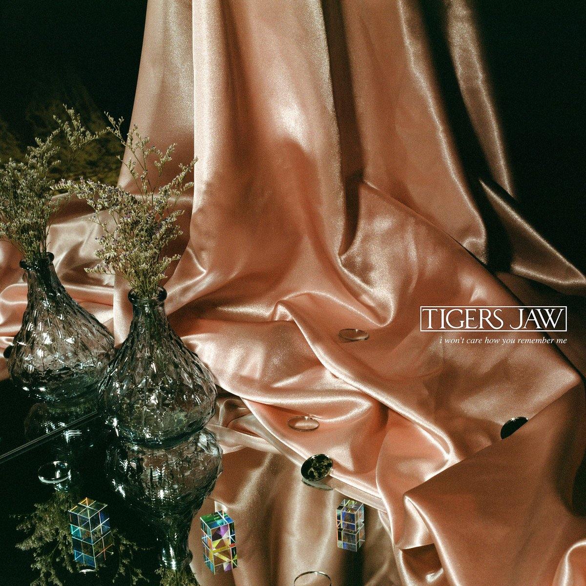 Buy – Tigers Jaw "I Won't Care How You Remember Me" 12" – Band & Music Merch – Cold Cuts Merch
