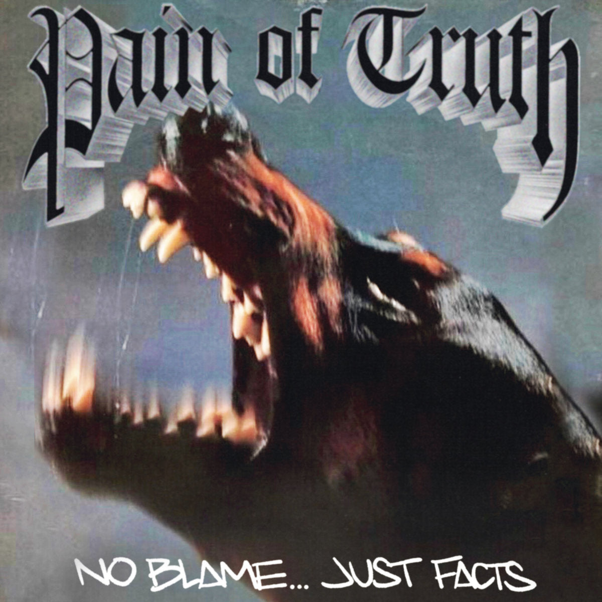 Pain of Truth "No Blame...Just Facts" 12" Vinyl