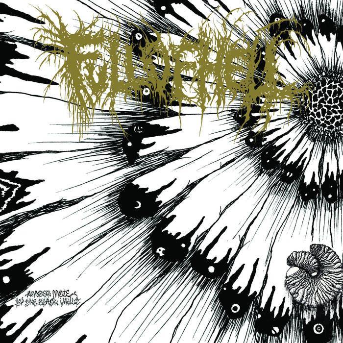 Buy – Full of Hell "Amber Mote in the Black Vault" 7" – Band & Music Merch – Cold Cuts Merch
