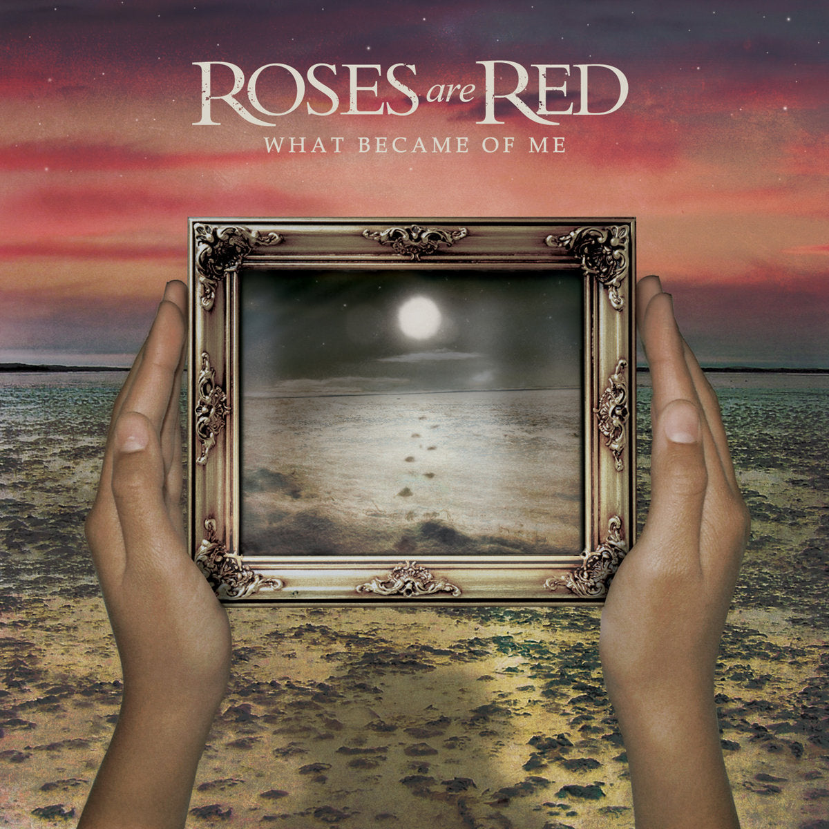 Roses Are Red "What Became Of Me" CD