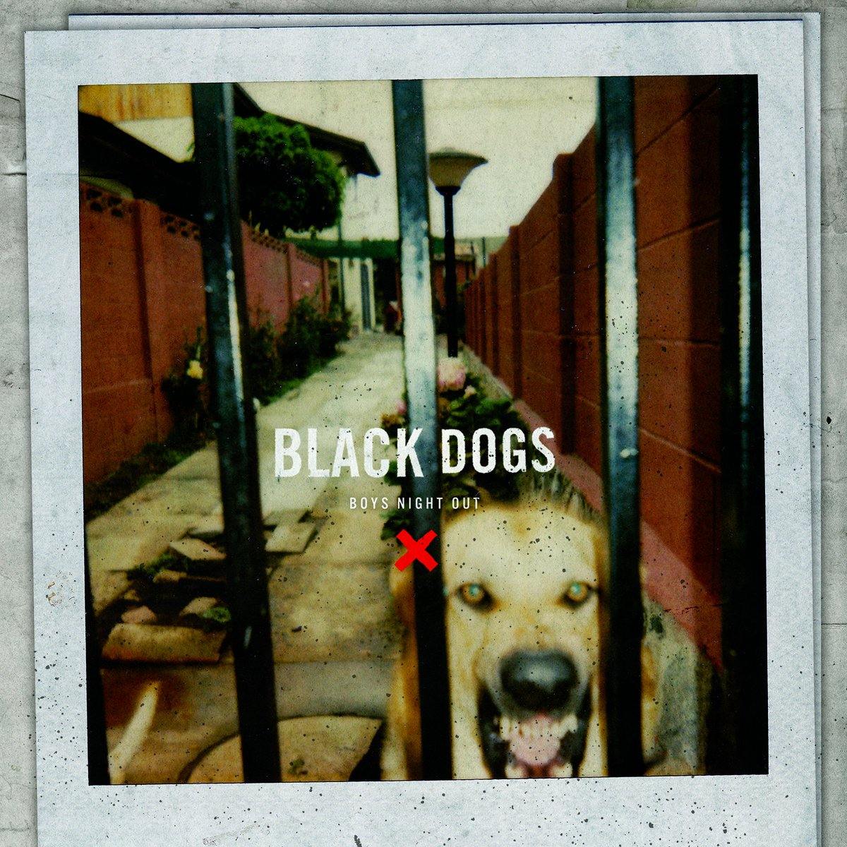 Buy – Boys Night Out "Black Dogs" CD – Band & Music Merch – Cold Cuts Merch
