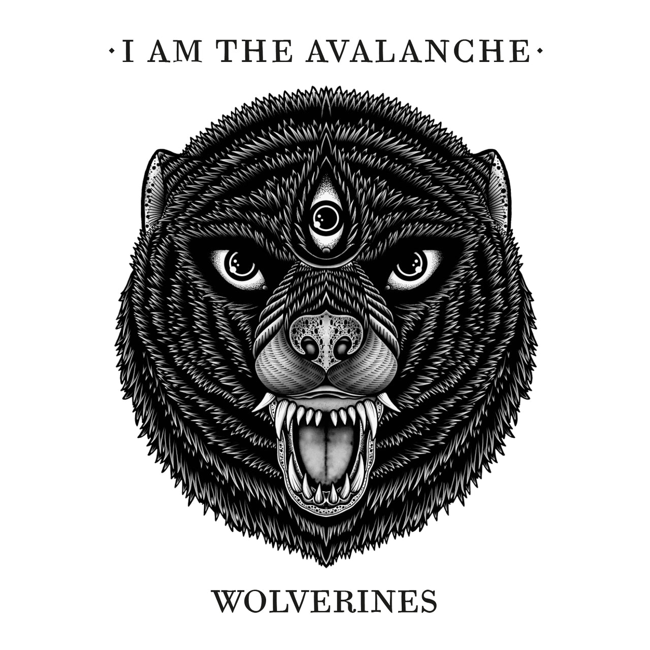 I Am The Avalanche "Wolverines" CD