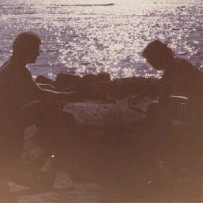 Buy – Seahaven "Reverie Lagoon: Music For Escapism Only" CD – Band & Music Merch – Cold Cuts Merch