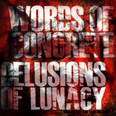Buy – Delusions of Lunacy/Words of Concrete  "New Kidz on the Block" split CD – Band & Music Merch – Cold Cuts Merch